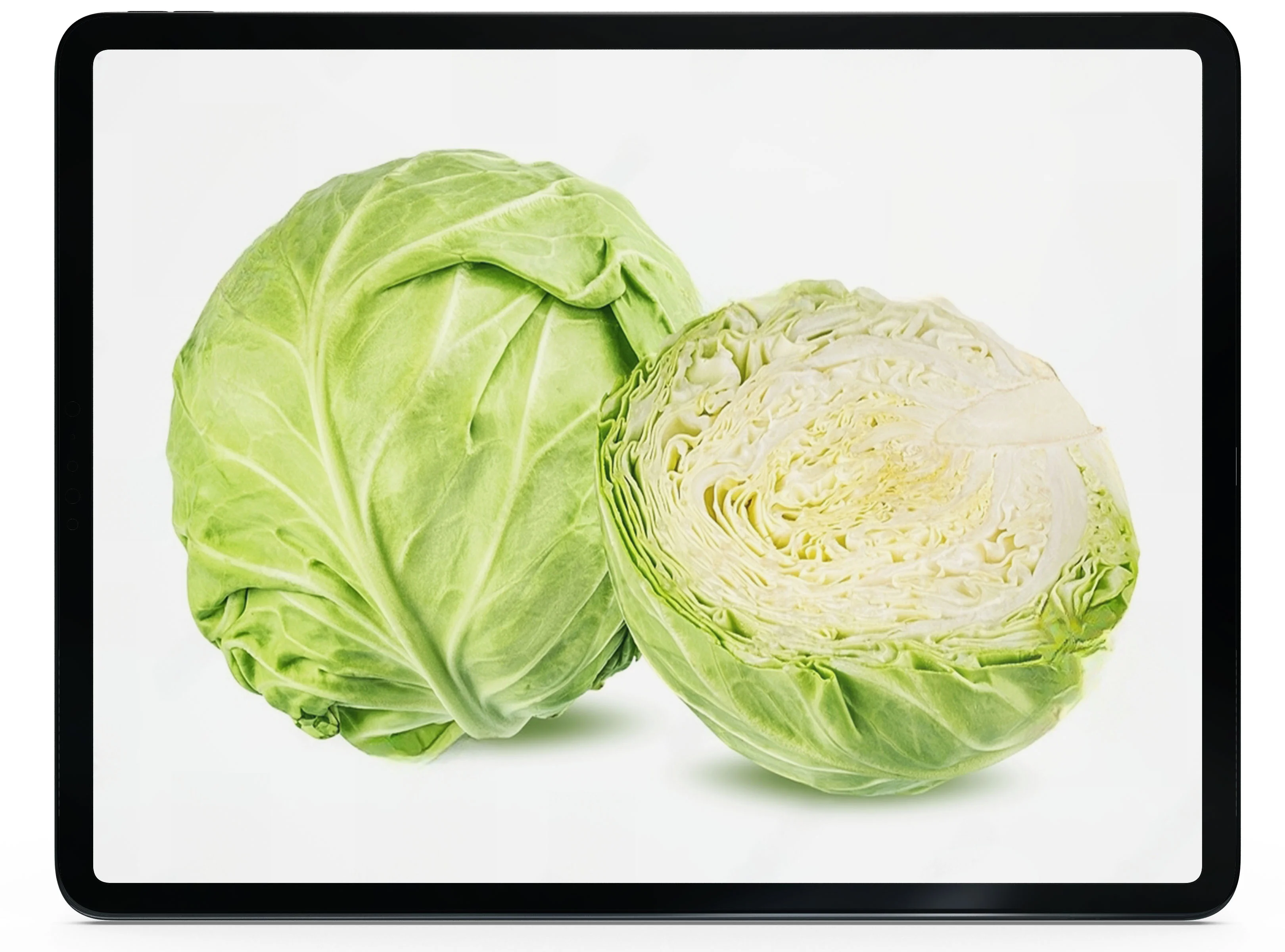 cabbage.webp load=