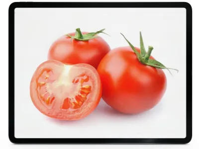 tomato.webp load=